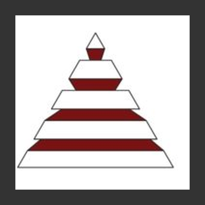 Ampro Data Services Inc
