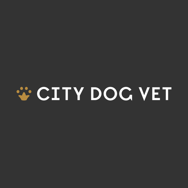 City Dog Vet