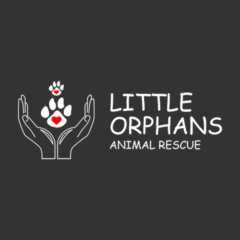 Little Orphans Animal Rescue, Inc