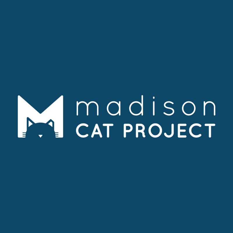 Madison Cat Project